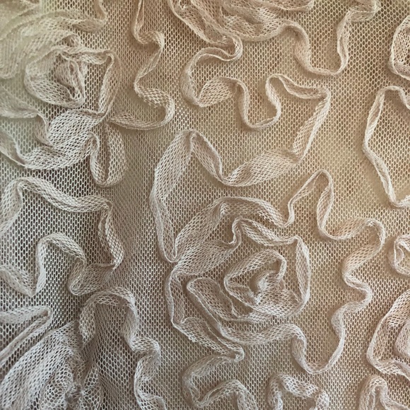 Free People blush sheer crop top - Picture 2 of 6